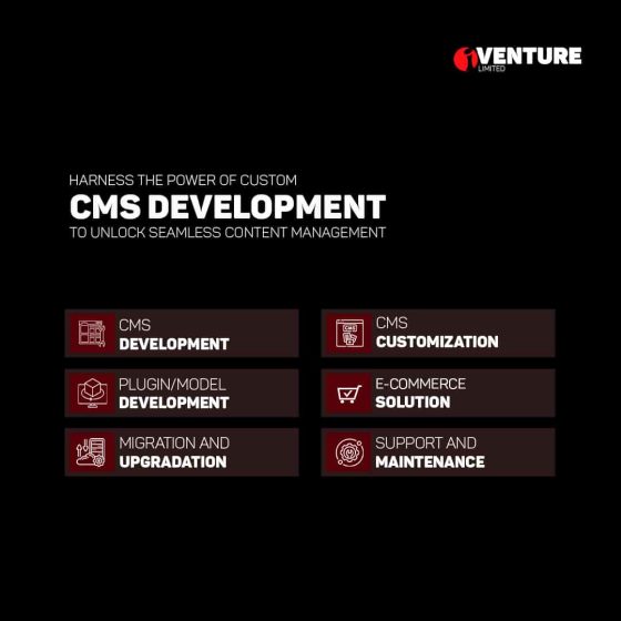 Our CMS development services, iventurebd.com