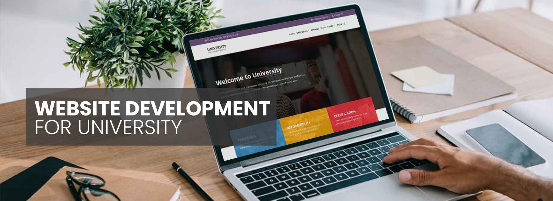 Website Development for University